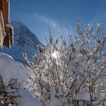 Chalet Alia And Apartments-Grindelwald By Swiss Hotel Apartments 外观 照片