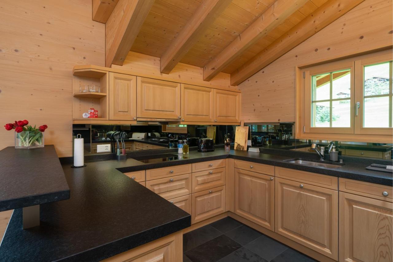 Chalet Alia And Apartments-Grindelwald By Swiss Hotel Apartments 外观 照片