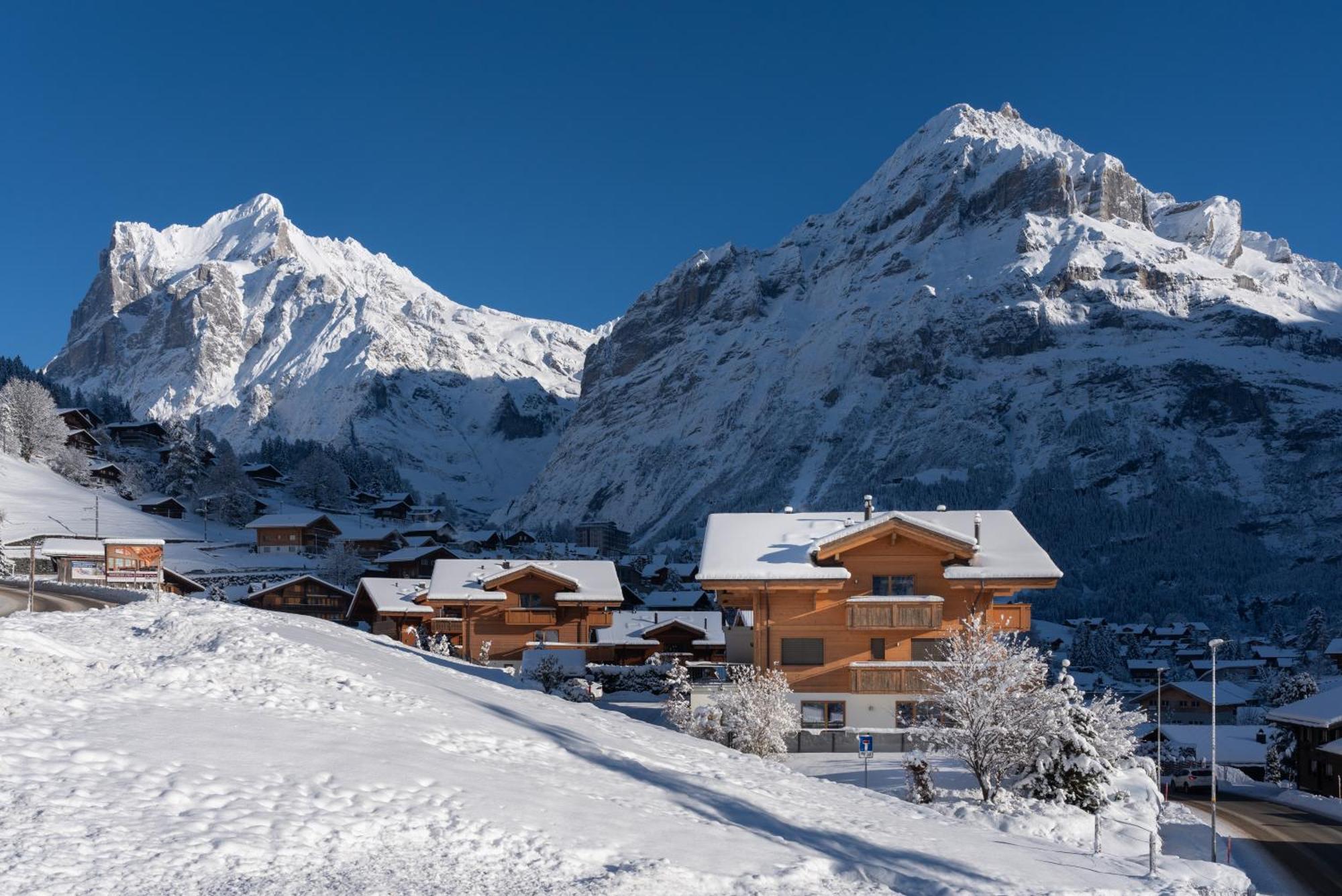 Chalet Alia And Apartments-Grindelwald By Swiss Hotel Apartments 外观 照片