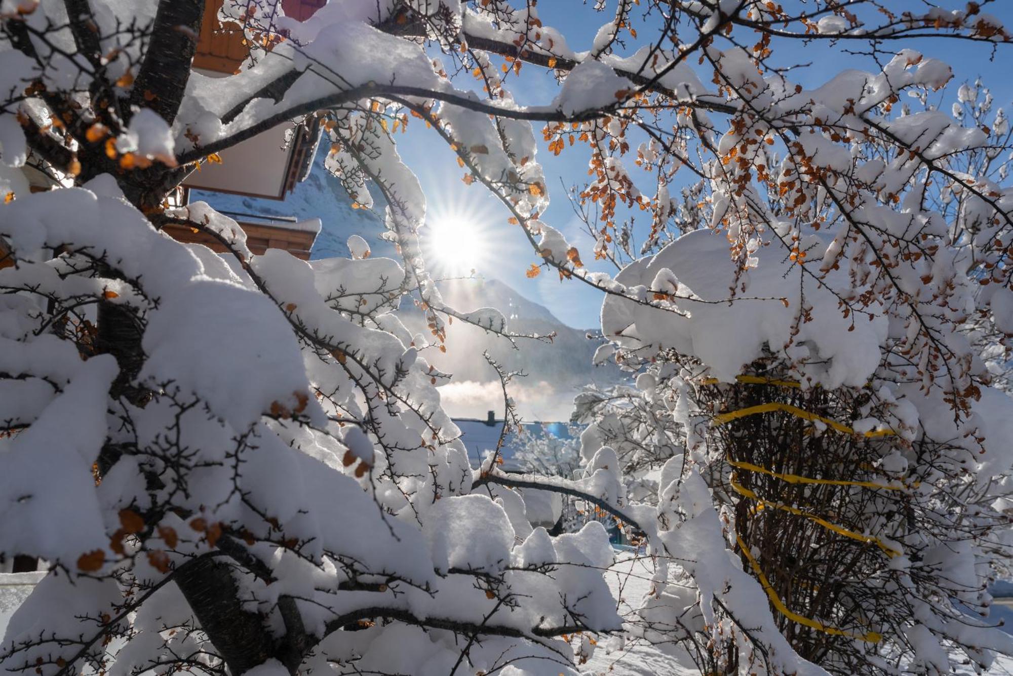 Chalet Alia And Apartments-Grindelwald By Swiss Hotel Apartments 外观 照片