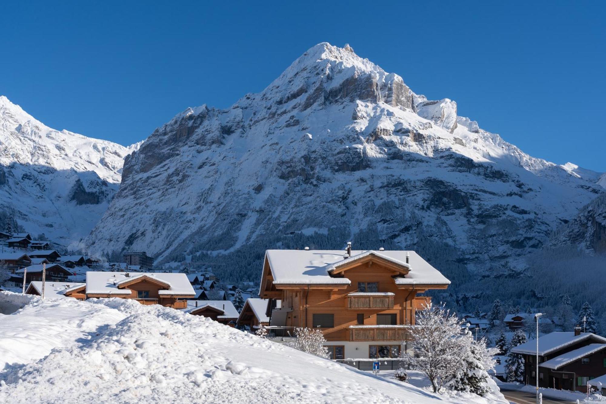 Chalet Alia And Apartments-Grindelwald By Swiss Hotel Apartments 外观 照片