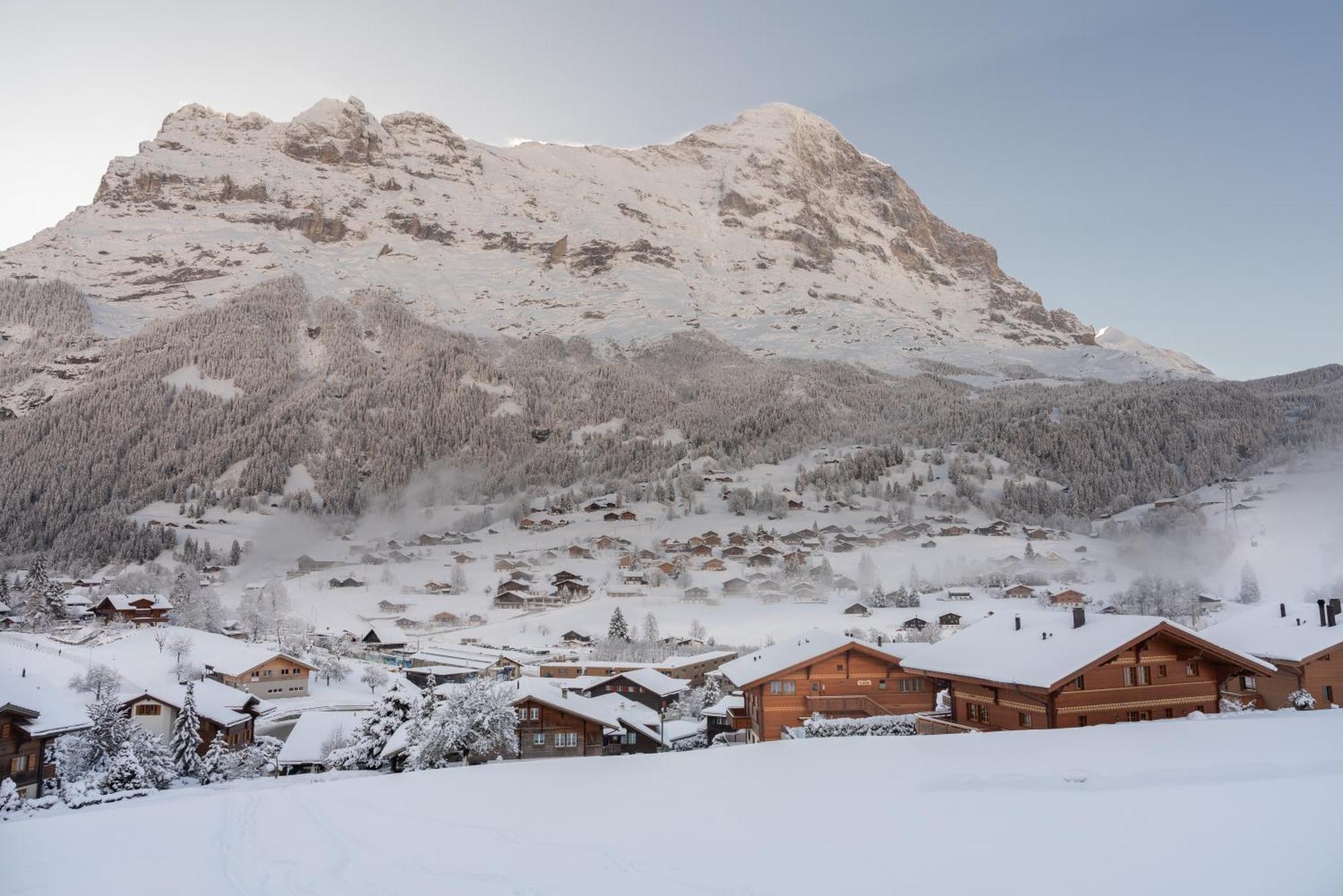 Chalet Alia And Apartments-Grindelwald By Swiss Hotel Apartments 外观 照片