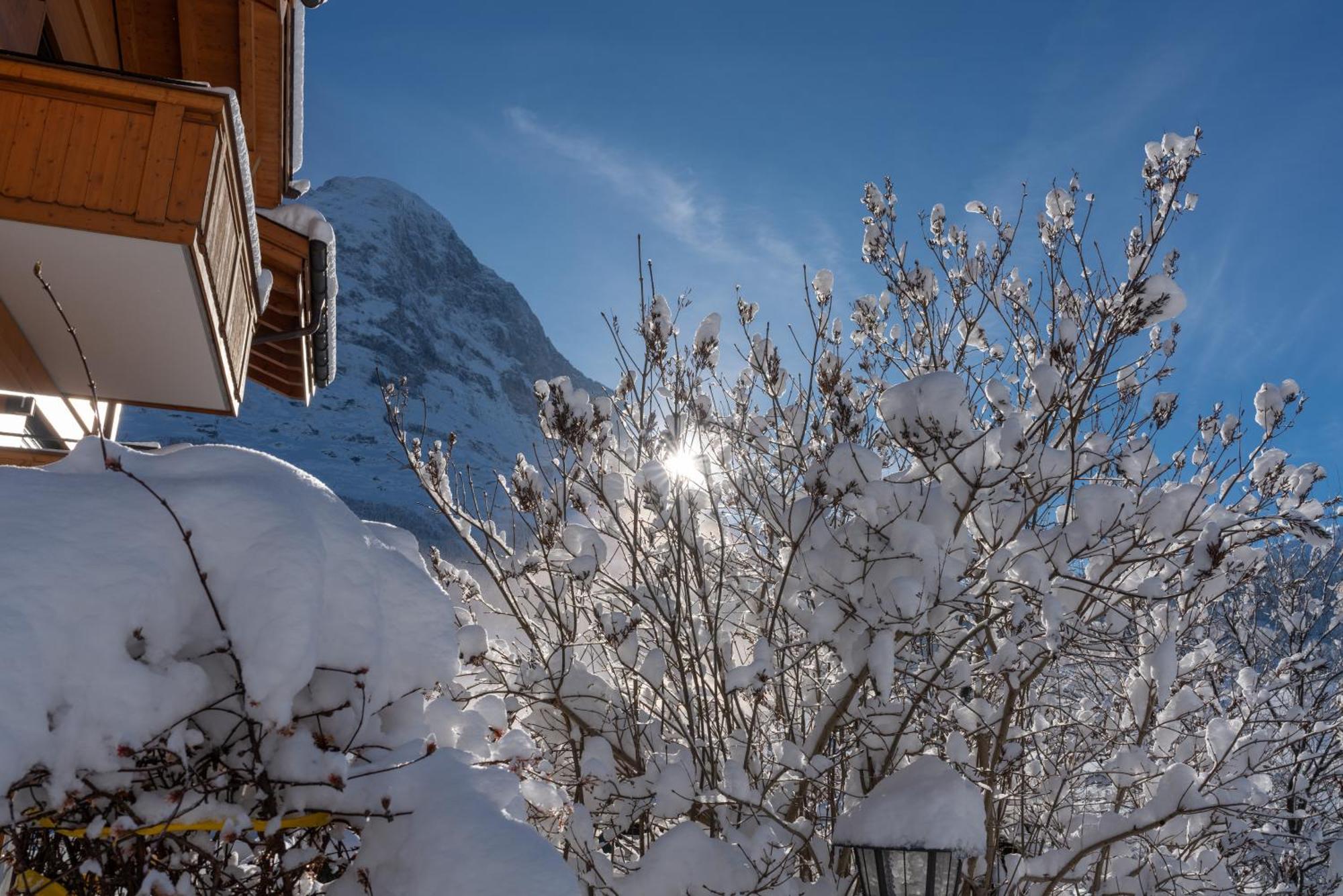 Chalet Alia And Apartments-Grindelwald By Swiss Hotel Apartments 外观 照片