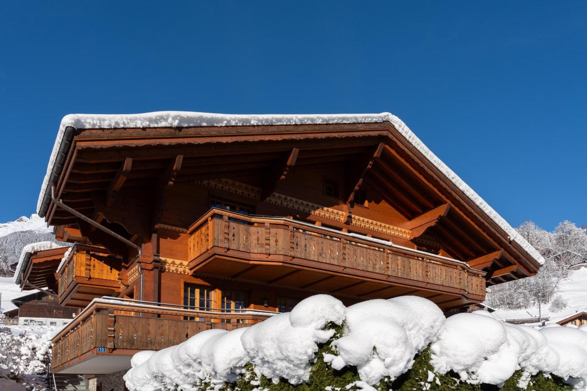 Chalet Alia And Apartments-Grindelwald By Swiss Hotel Apartments 外观 照片