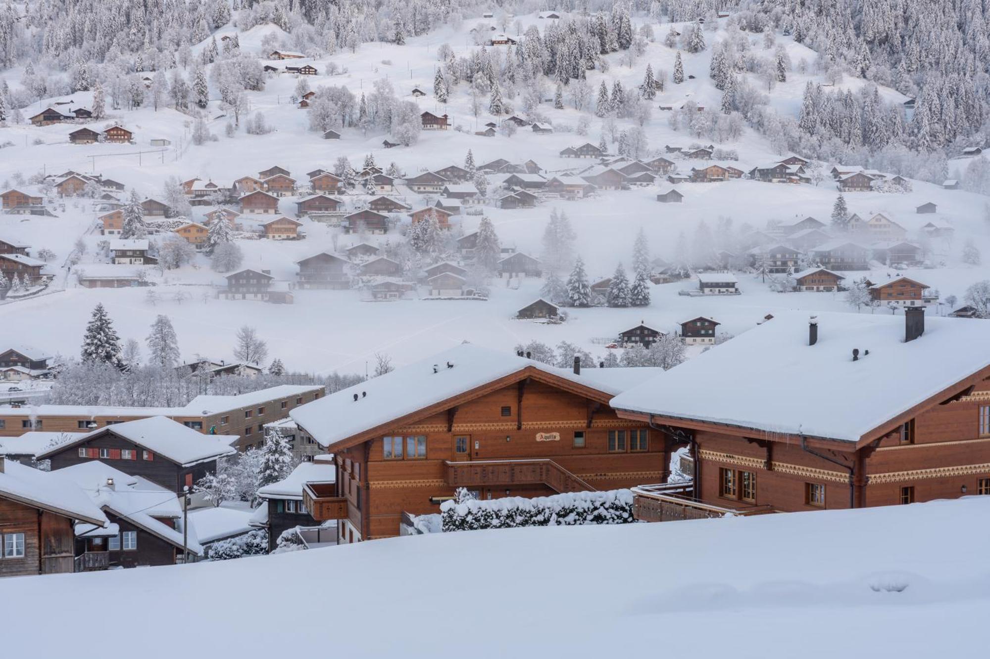 Chalet Alia And Apartments-Grindelwald By Swiss Hotel Apartments 外观 照片