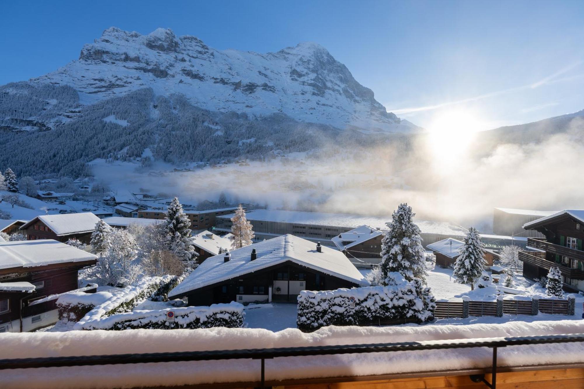 Chalet Alia And Apartments-Grindelwald By Swiss Hotel Apartments 外观 照片