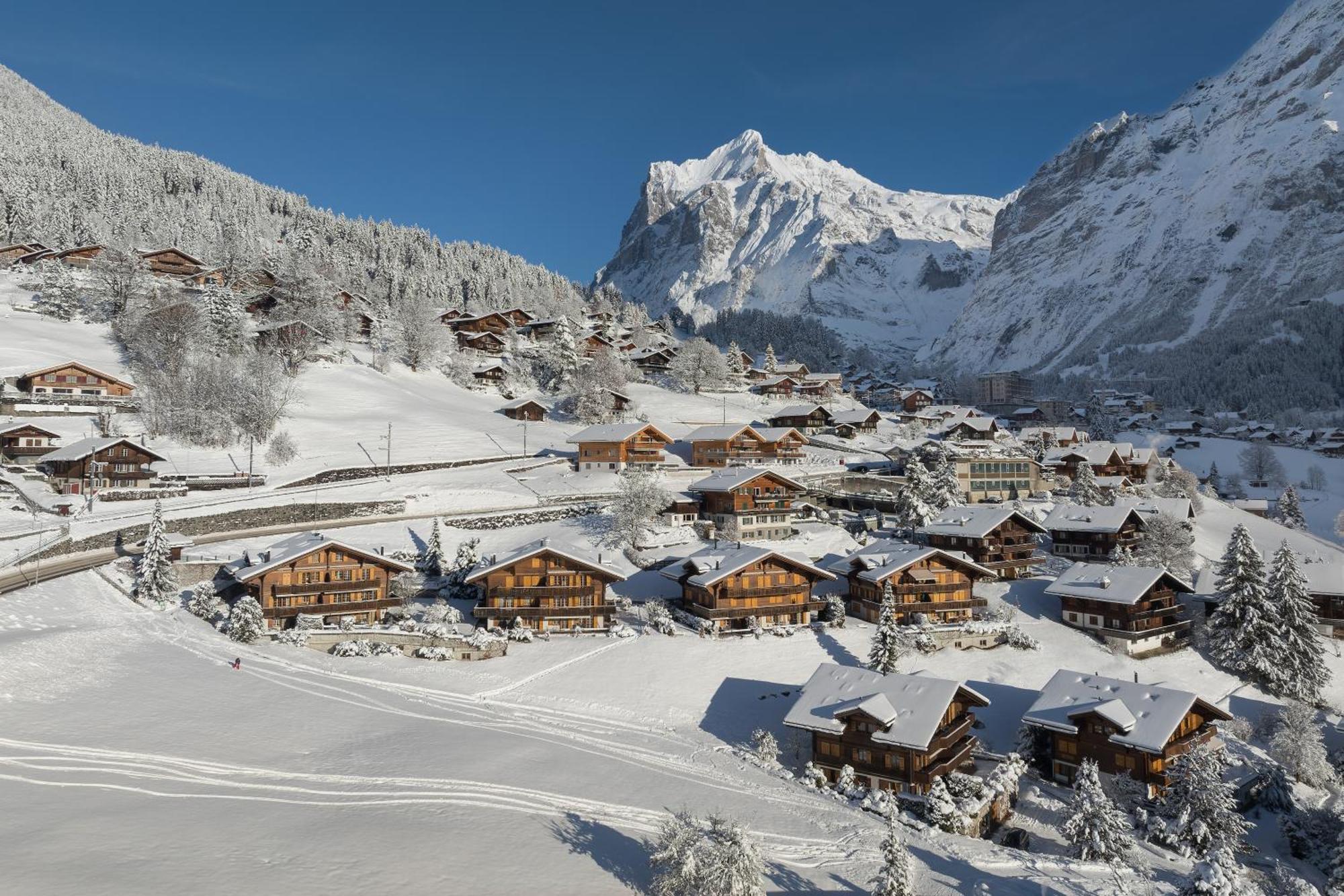 Chalet Alia And Apartments-Grindelwald By Swiss Hotel Apartments 外观 照片