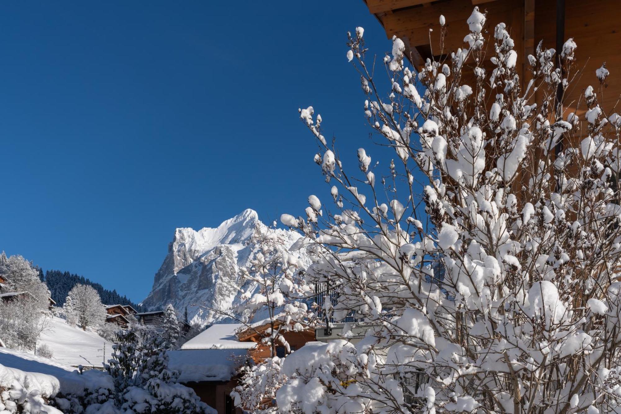 Chalet Alia And Apartments-Grindelwald By Swiss Hotel Apartments 外观 照片